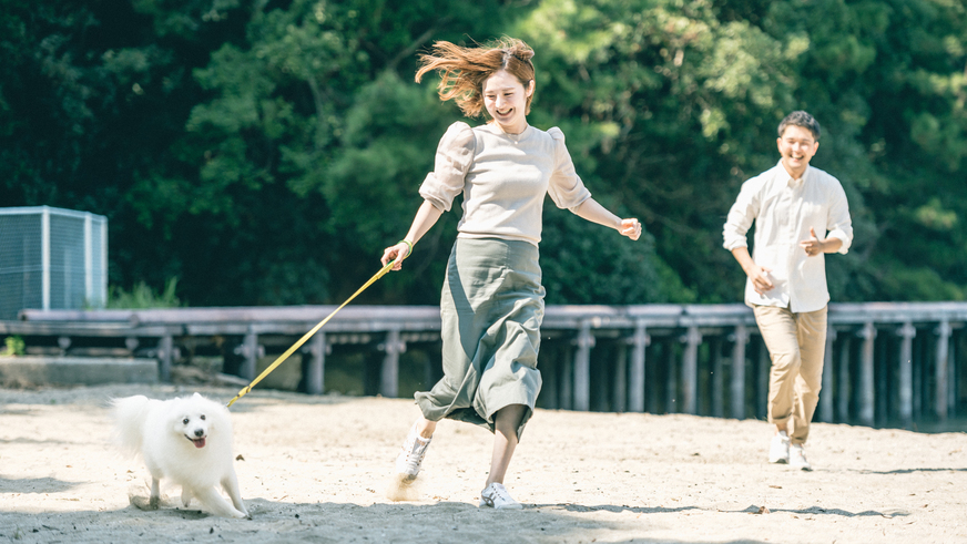 【敷地内施設】海辺のドッグラン「WEVELET」。宿泊者様専？だから安？してご利？頂けます