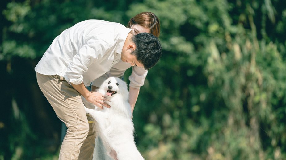 【過ごし方イメージ】愛犬と一緒に思い出をたくさん作ってくださいね