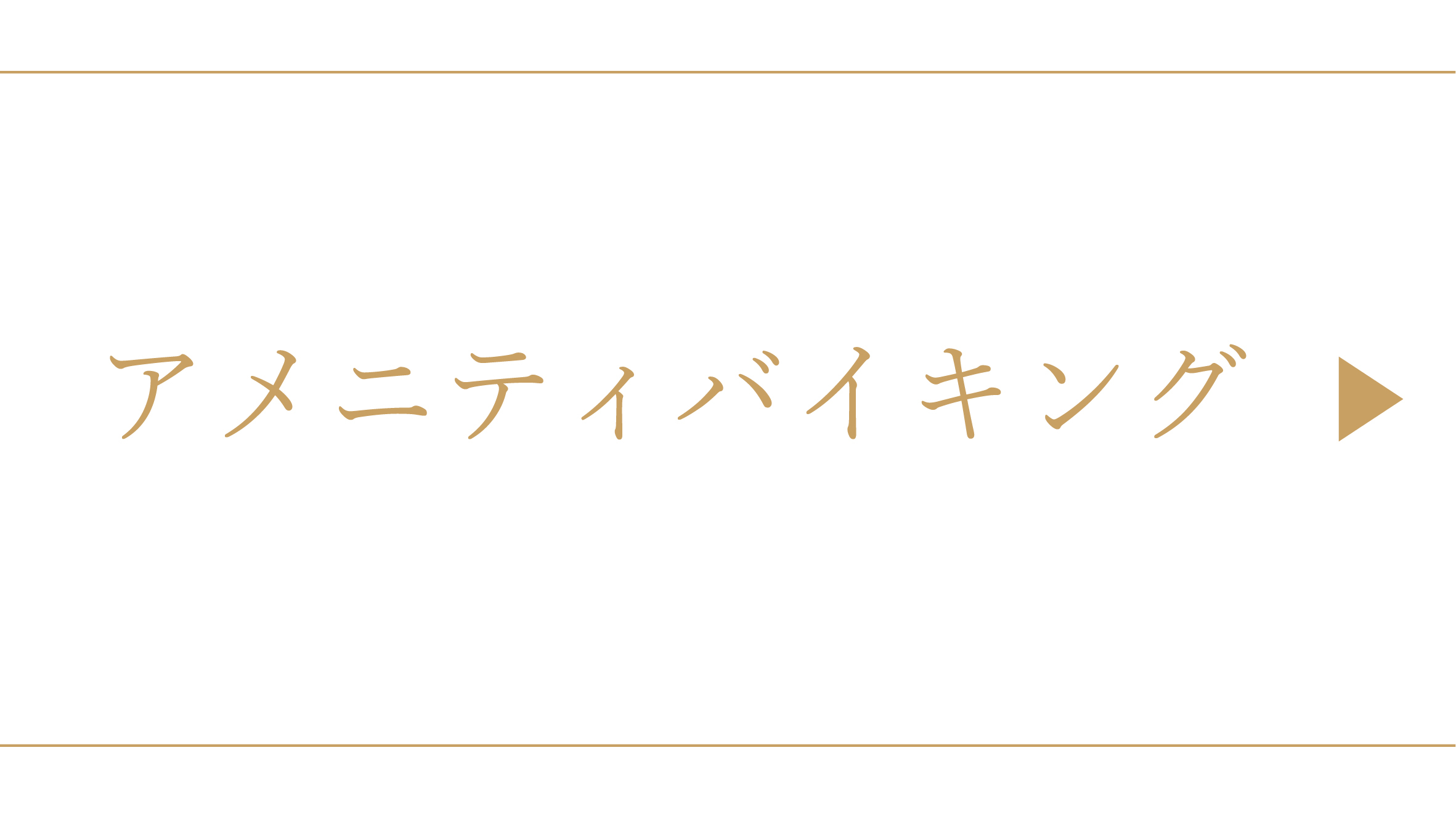 アメニティバイキング