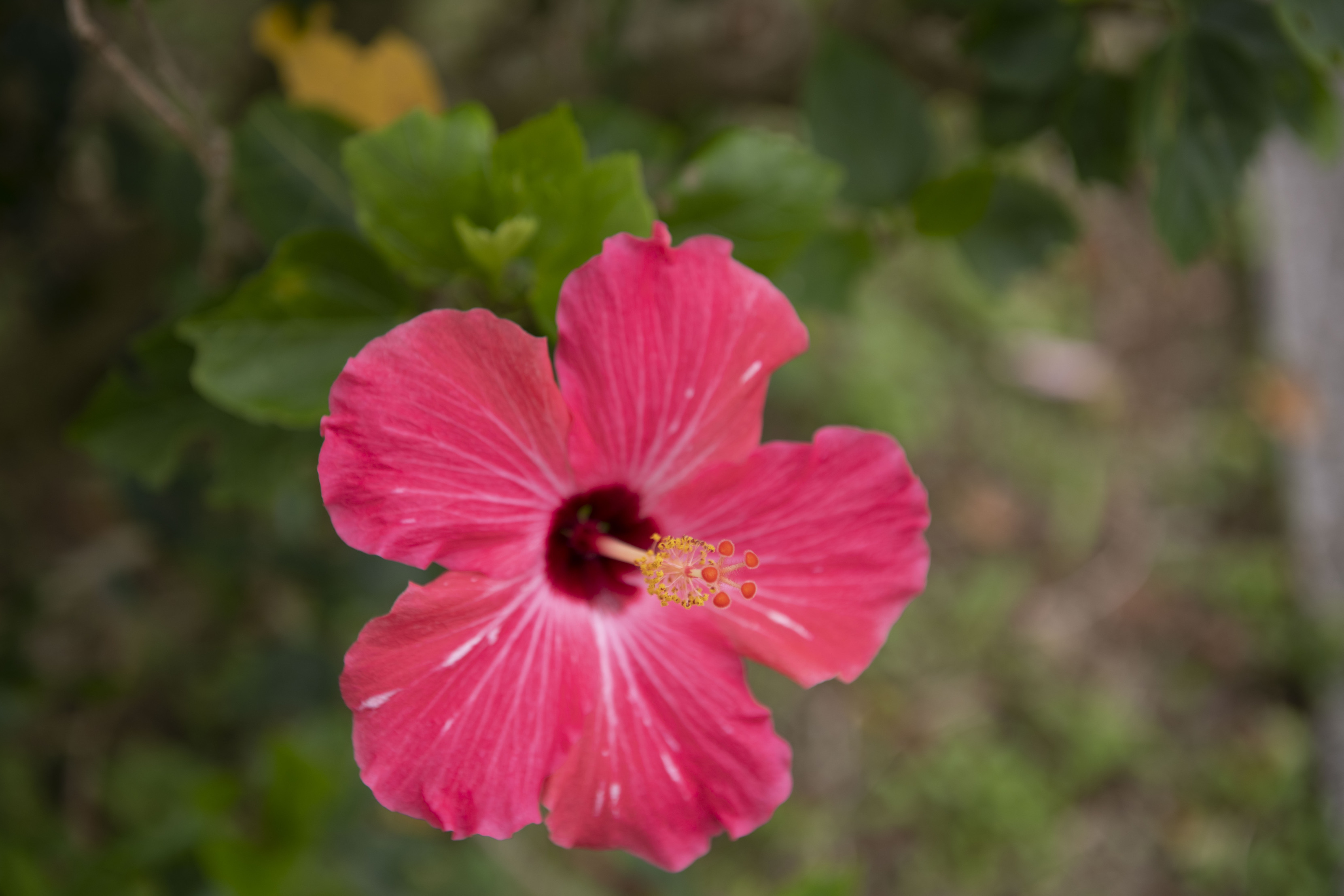 This photo about Stay PLUMERIA (Miyakojima) shared on HyHotel.com