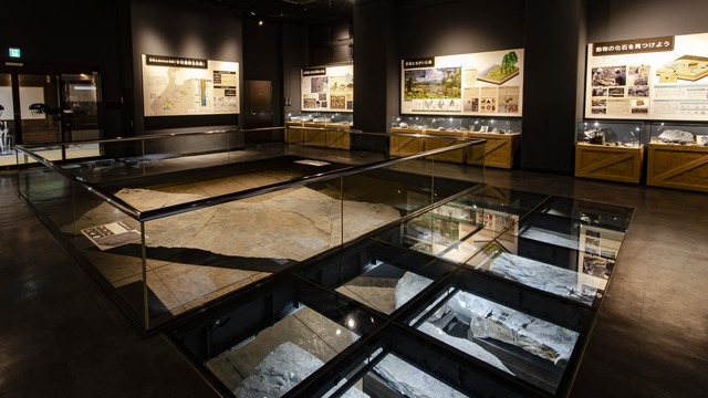 【野外恐竜博物館】発掘現場で見つかった化石のでき方や、そのわけを調べよう！