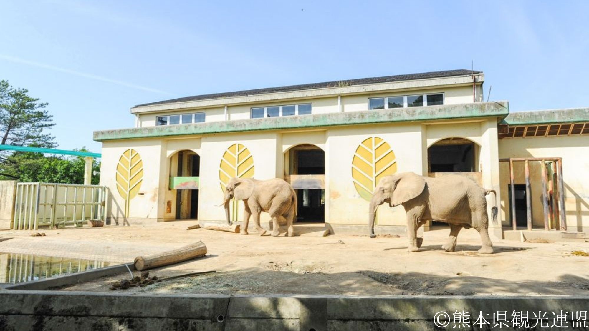 【観光画像】熊本市動植物園