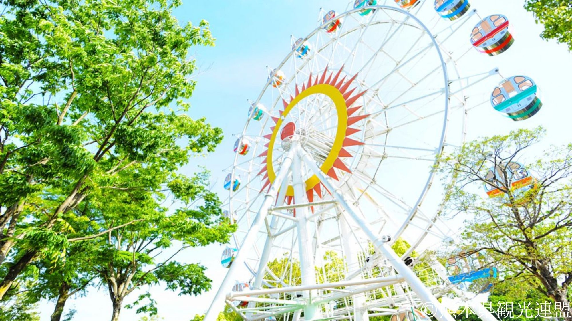 【観光画像】熊本市動植物園