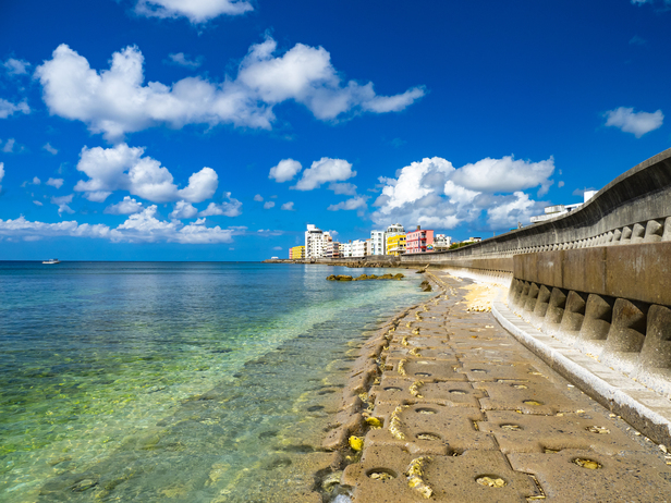 宮城海岸