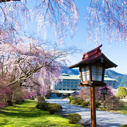 【桜】桜の美しいピンク色に包まれた当館