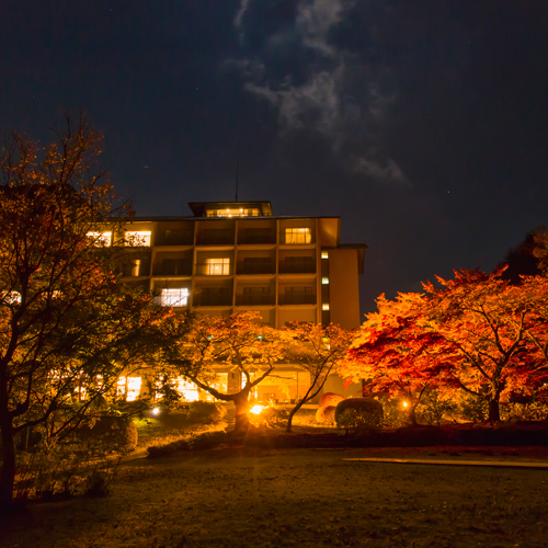 【紅葉】ライトアップされた庭園