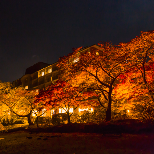 【紅葉】ライトアップされた庭園