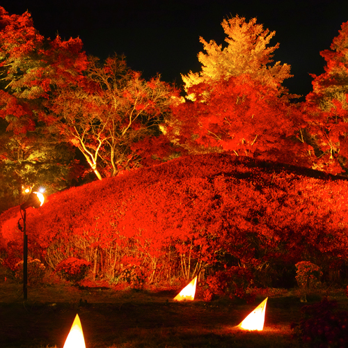 【紅葉】ライトアップされた庭園