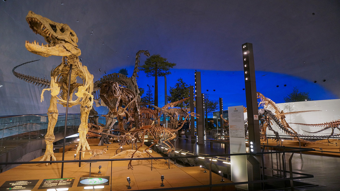 恐竜博物館１階恐竜の世界