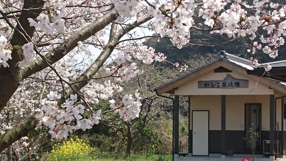 Guest House Neshiko Koryuan Image 4, Hirado, Japan