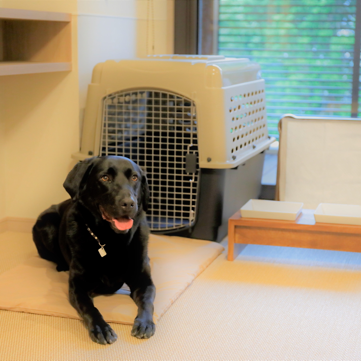 Regina Resort Hakone Sengokuhara Main Image Regina Resort Hakone Sengokuhara, Hakone