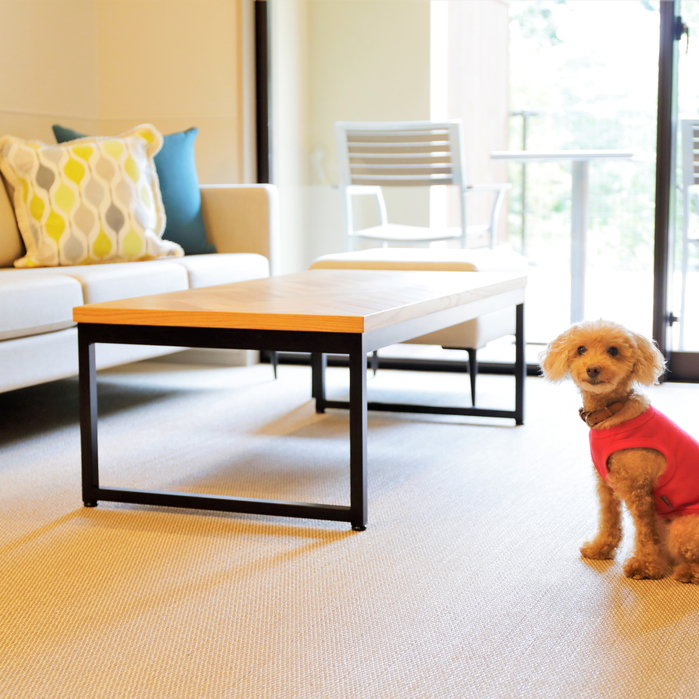 【スーペリアルーム（最大定員3名）】愛犬が過ごしやすい、滑りにくい床材を使用