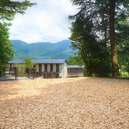 【屋外ドッグラン】箱根外輪山を望む敷地内ドッグラン！晴れた日はわんちゃんと一緒に駆け巡って