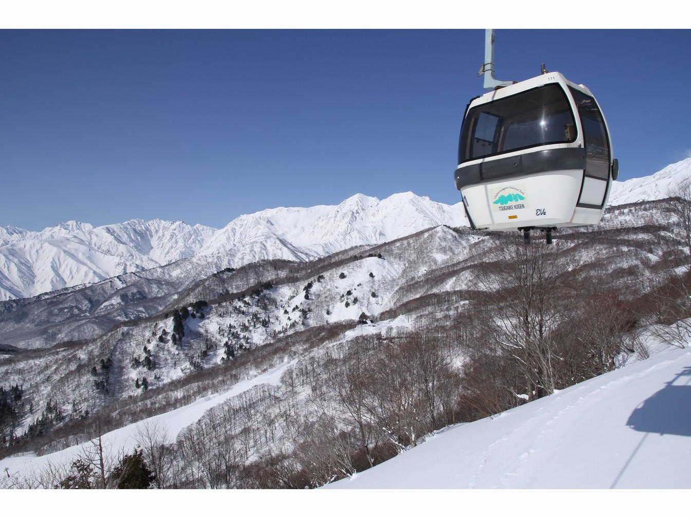 TSUGAIKE MOUNTAIN RESORT ゴンドラリフト「イブ」