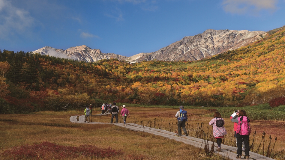 紅葉狩りを楽しむ秋の「栂池自然園」