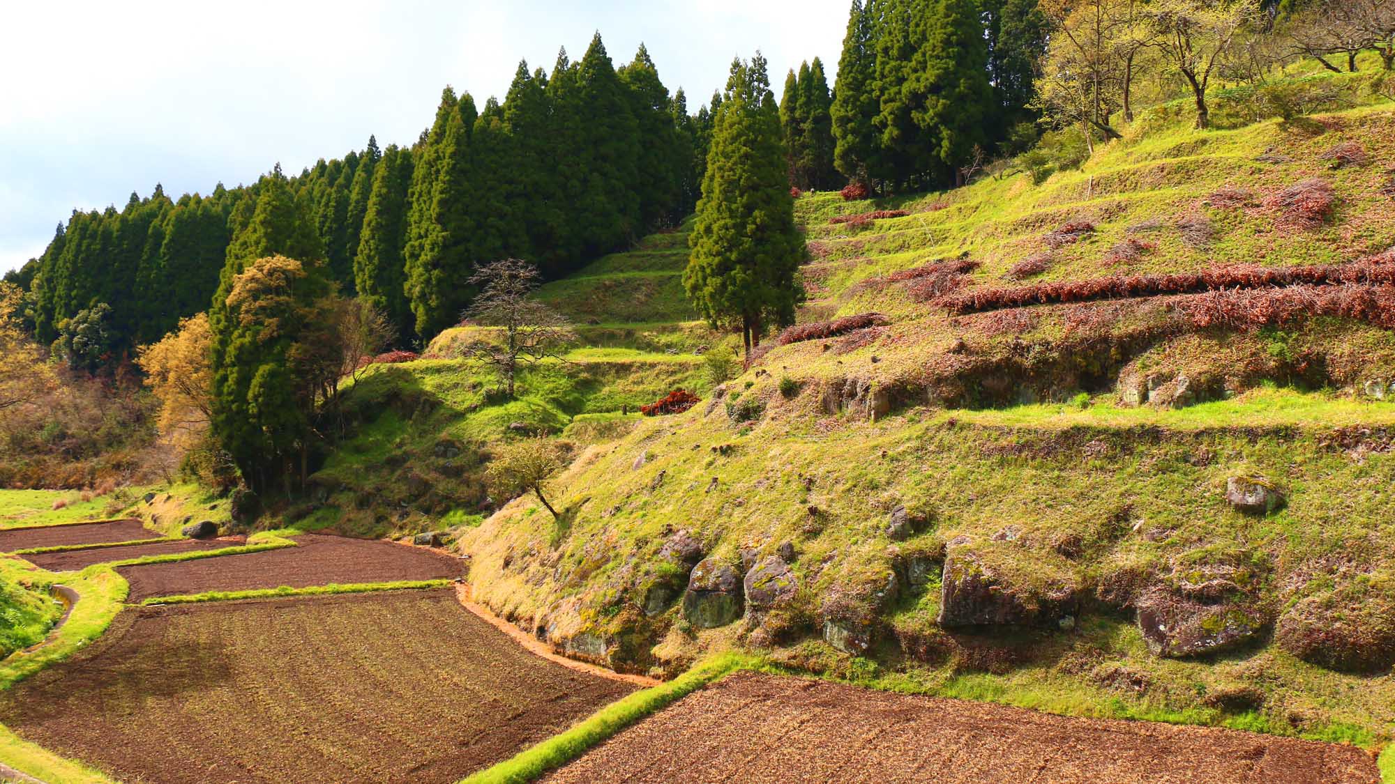 【周辺】里山のフットパスコースも満喫できます♪つばき庵から歩いて5〜10分です。