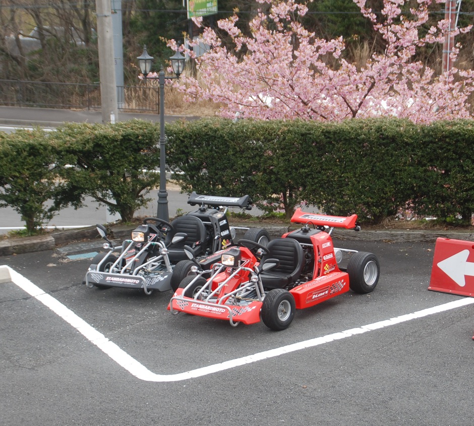 カート・駐車場