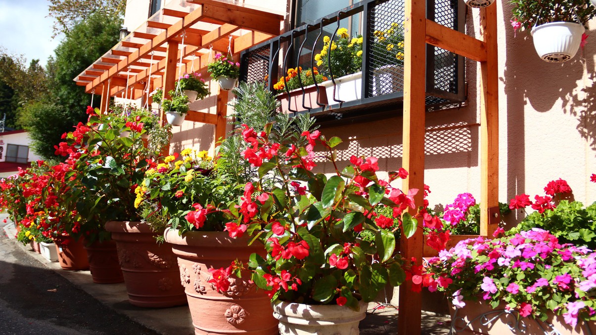 《外観》花乃郷の名のとおり、ホテルの周りでは色とりどりのお花が咲き誇ります 