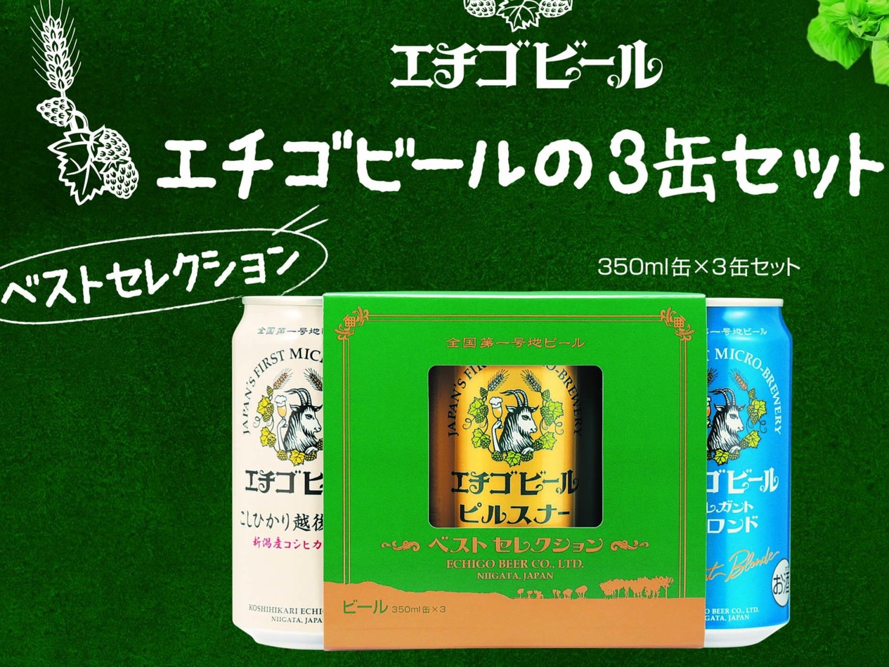 〈新潟泊〉出張応援!!☆レジャー観光☆エチゴビール缶（350ml）3本セットプレゼント！【素泊り】