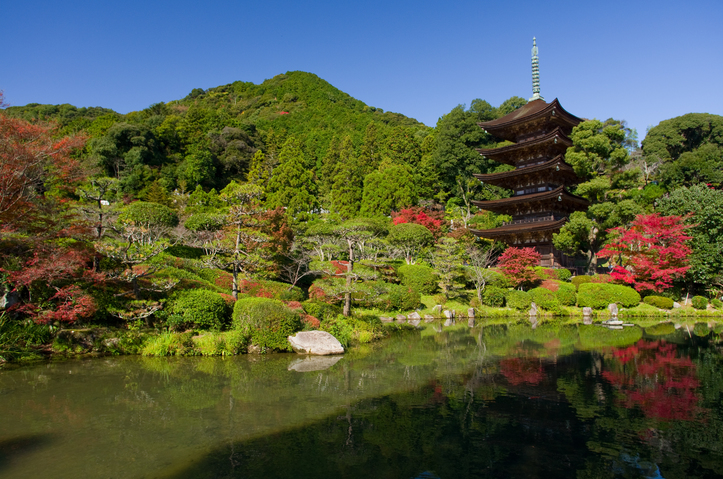 国宝瑠璃光寺五重塔【山口市】当館から車で約10分