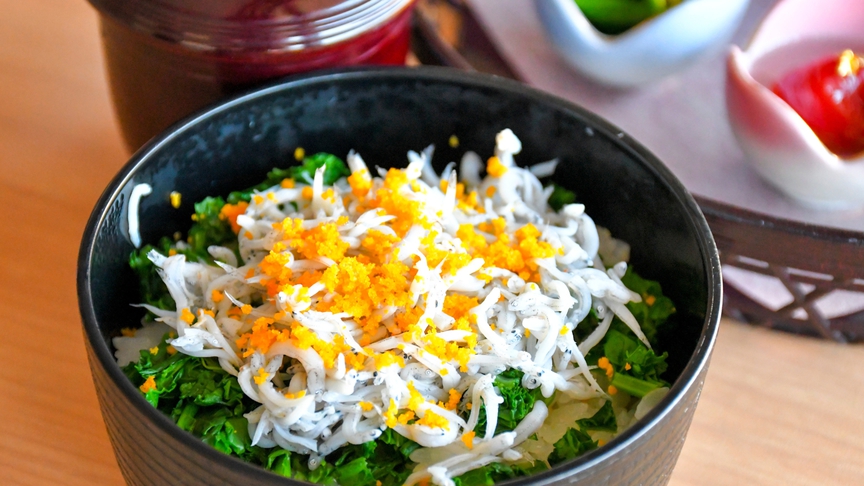 春が旬！人気の「しらす丼」ふっくら旨味溢れるしらすをご堪能ください。