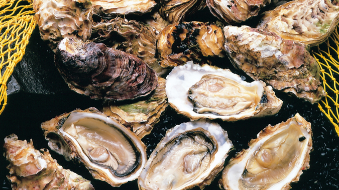 Okumatsushima Lane Hotel Image 3, Matsushima, Japan