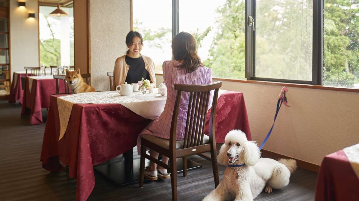 【リードフックと小型犬用バスケット】