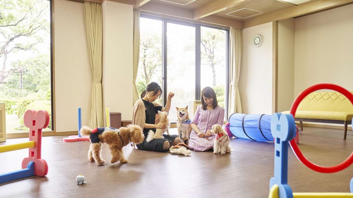 【屋内ドッグラン】