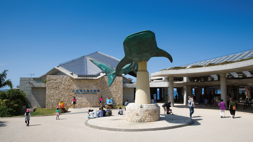 美ら海水族館まで1分