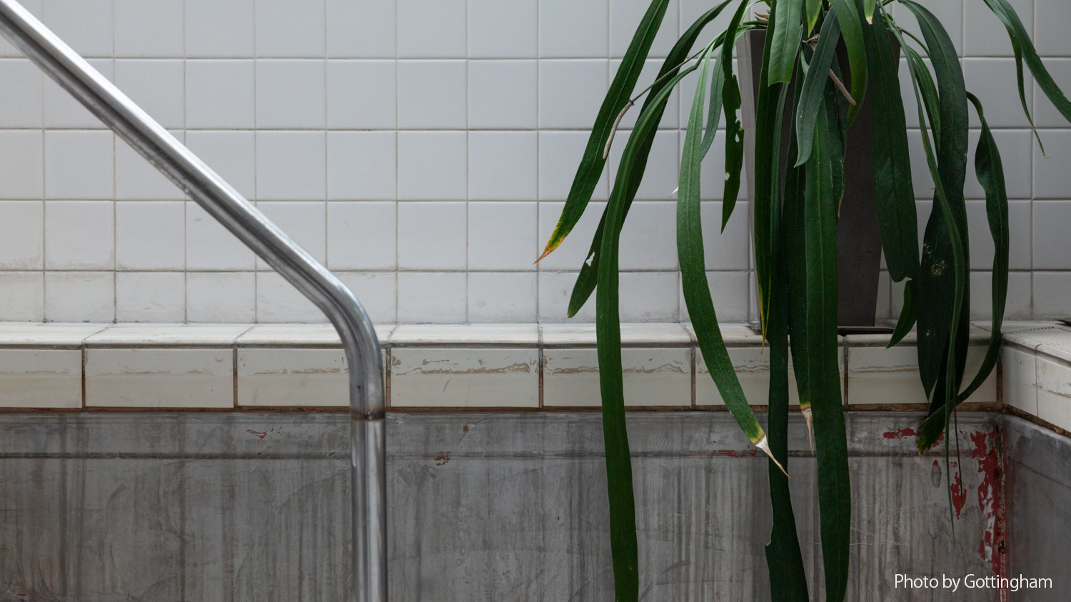 THE POOLSIDE（GUEST LOUNGE）