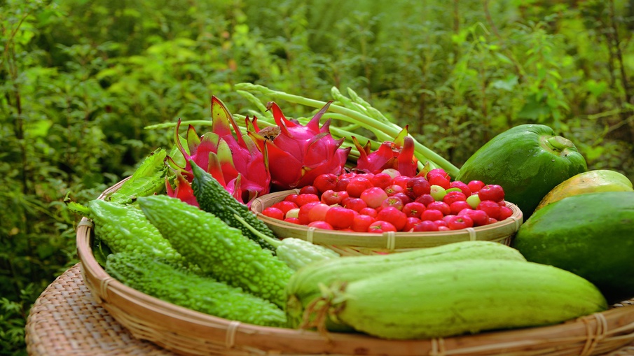 野菜たち