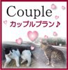 【おすすめ！】カップルプランチェックアウトのお時間が10:00⇒;11:00に！