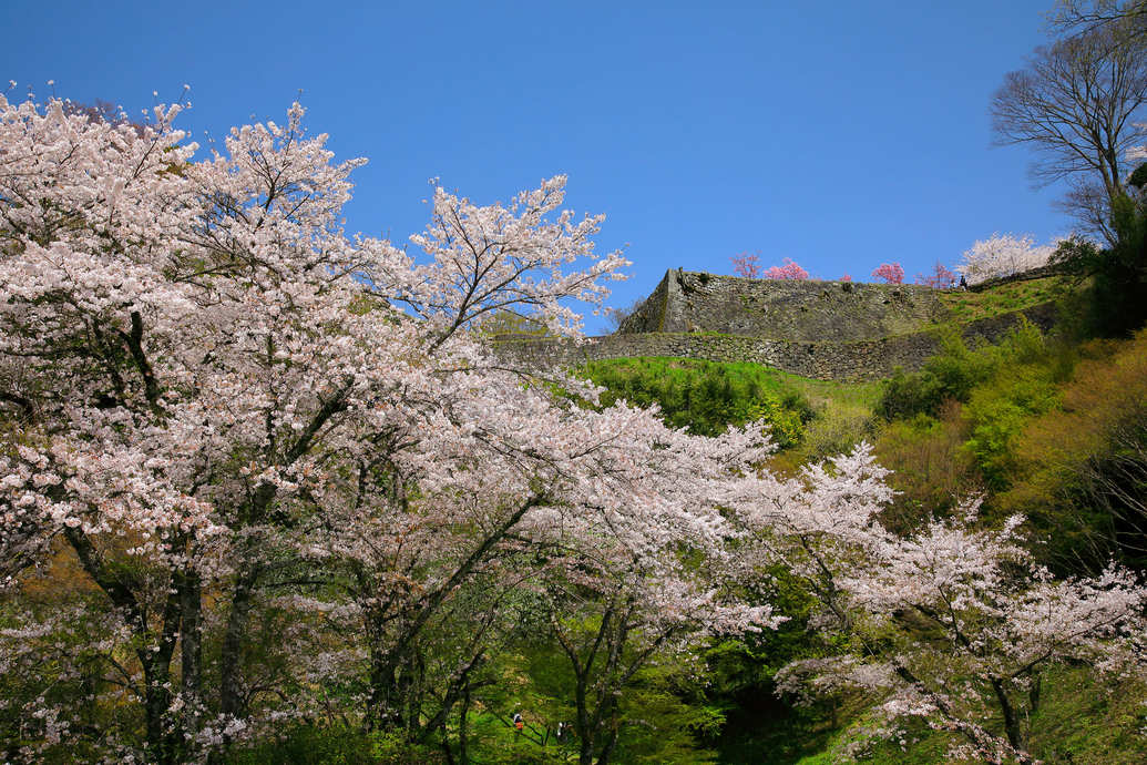 岡城跡