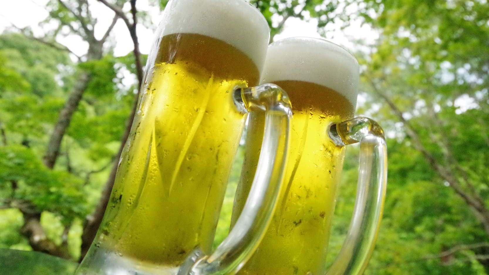 湯けむりの宿 稲住温泉（共立リゾート）