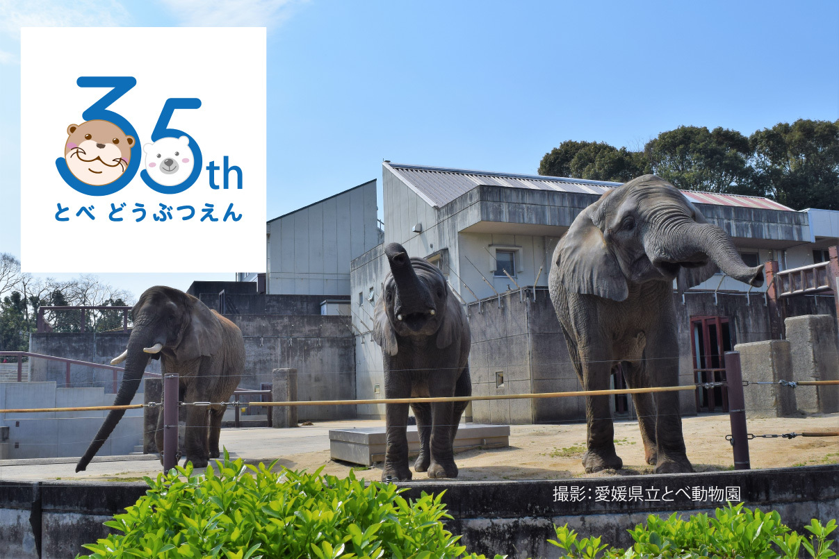 とべ動物園35周年記念