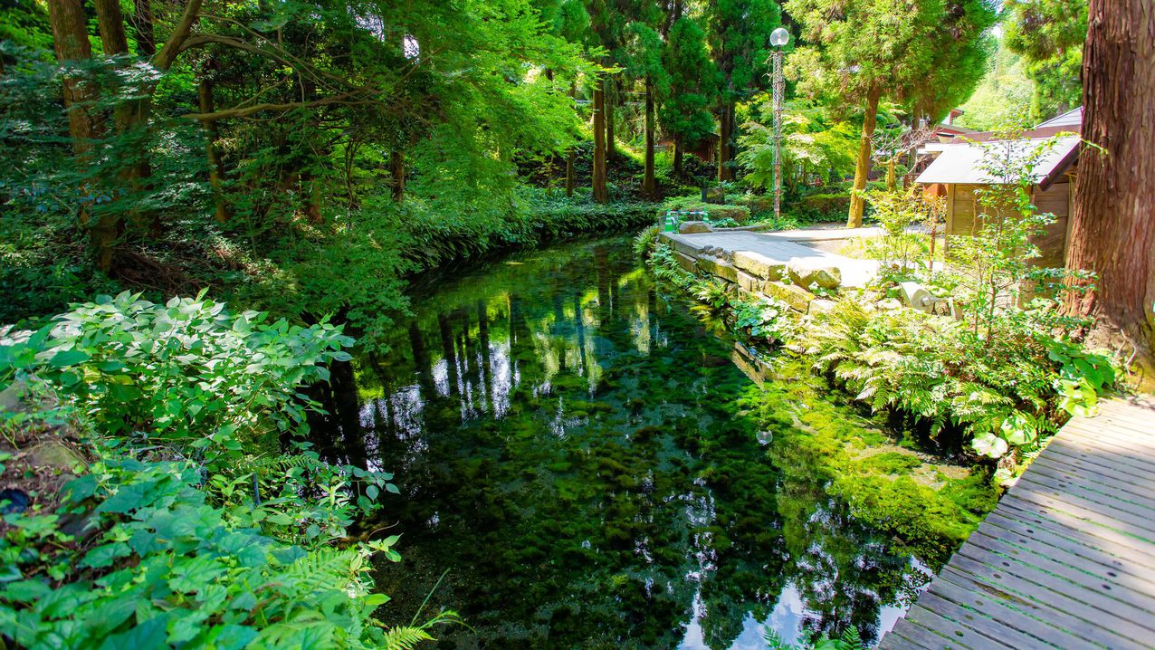 写真提供：熊本県観光連盟白川水源