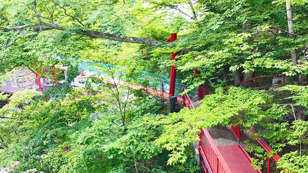 赤い吊り橋春・夏