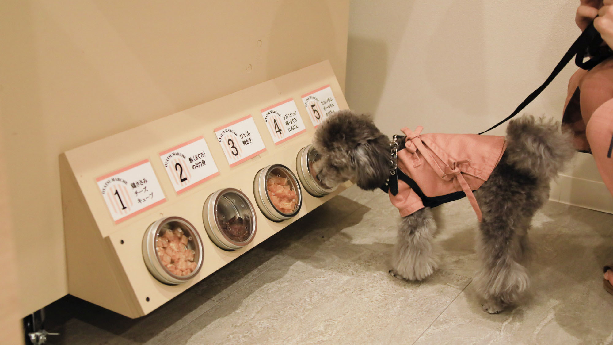 【おやつワゴン】匂いを嗅いでワンちゃんのお好みのおやつを見つけることができます（一例）