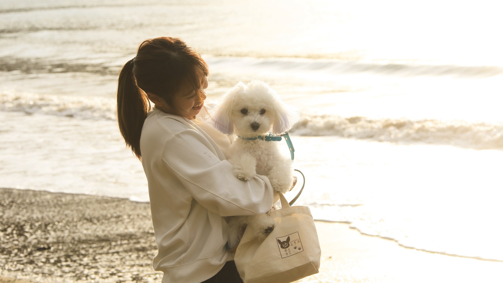 【土肥海水浴場】夕陽を眺めながら、ワンちゃんとのお散歩にピッタリです♪※当館から徒歩約5分