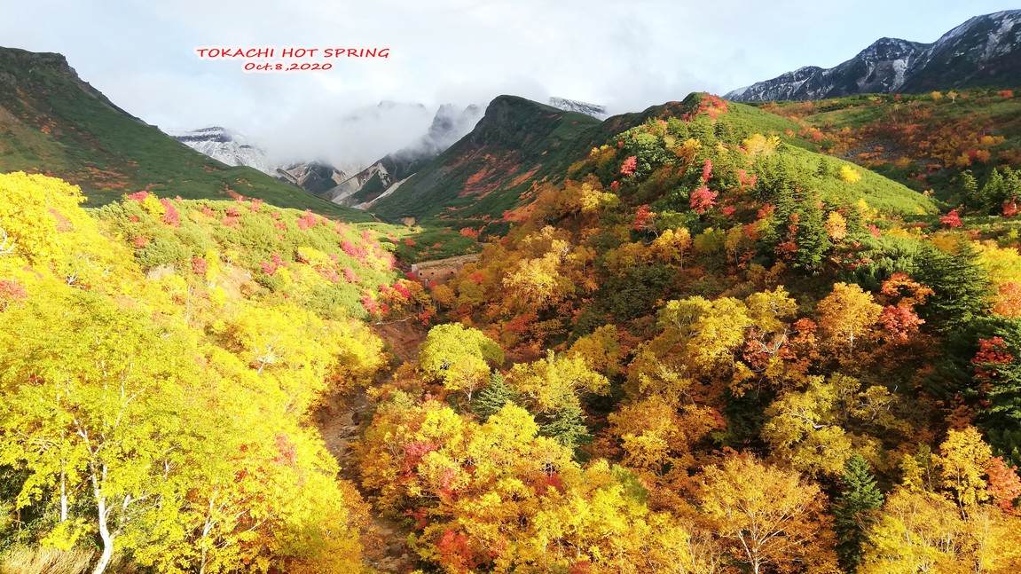 紅葉‐十勝岳の秋