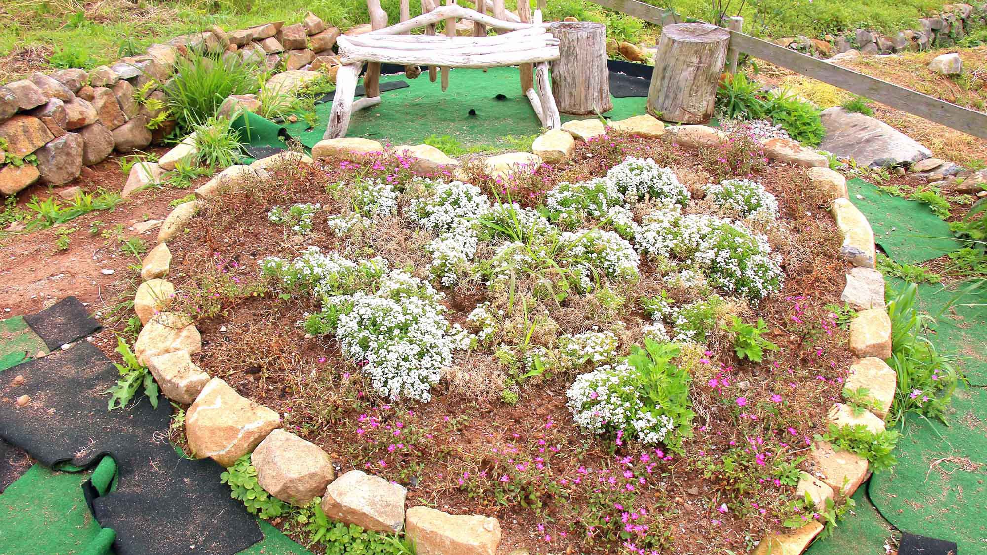 【春】ハート型の花壇♪