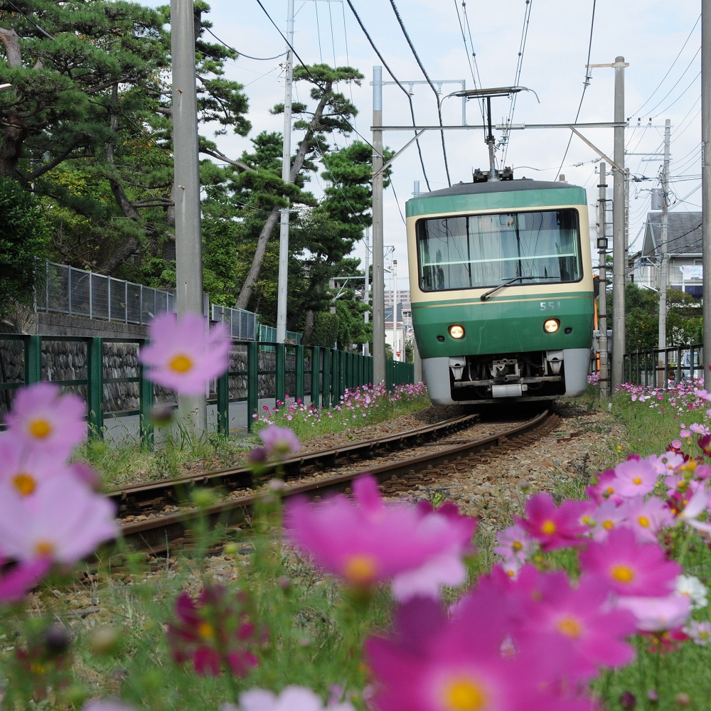 相鉄フレッサイン鎌倉大船駅東口のnull