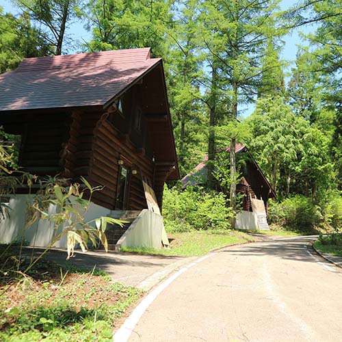 This photo about Toga International Camp Site shared on HyHotel.com
