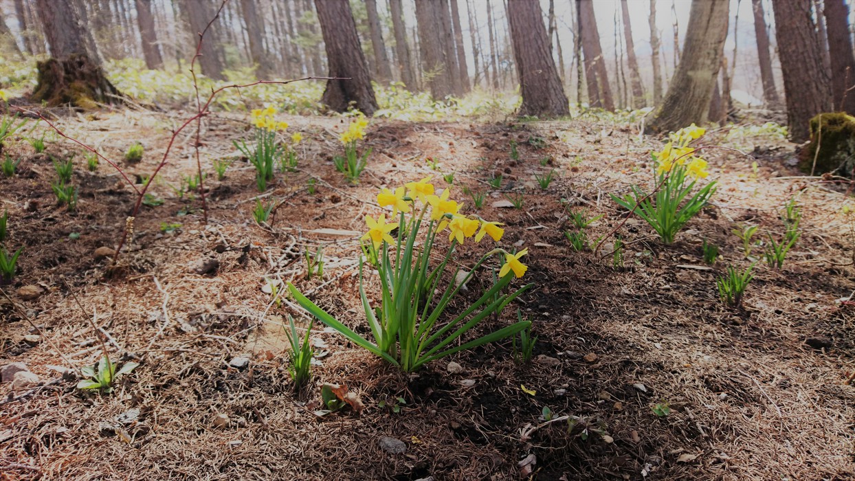 This photo about Blue Bell Cottage shared on HyHotel.com