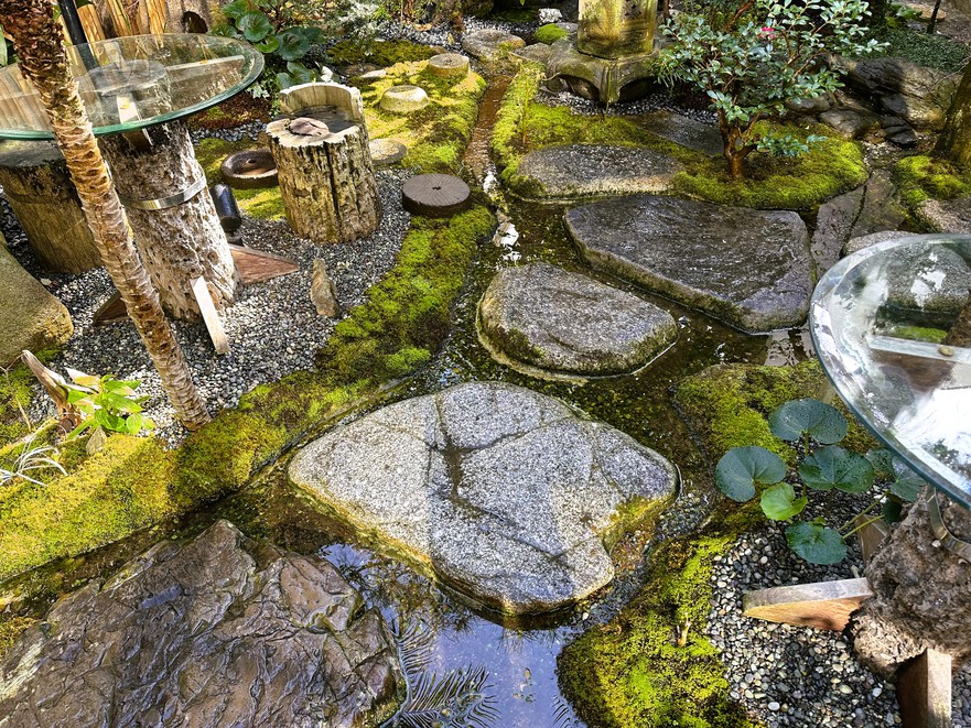 【苔庭】奥庭小川付近