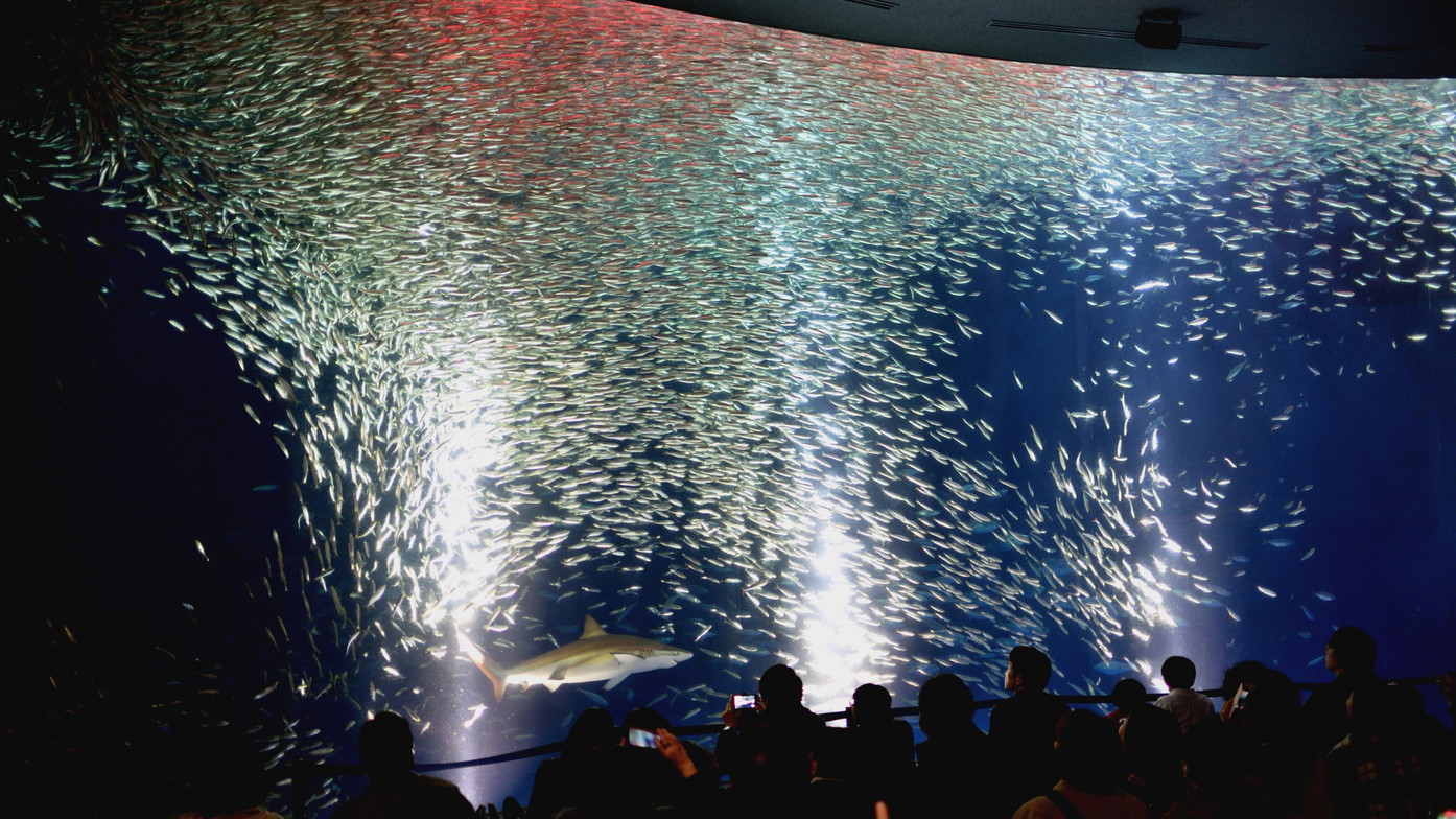【名古屋港水族館】