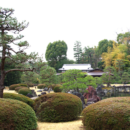 京都観光二条城の庭園