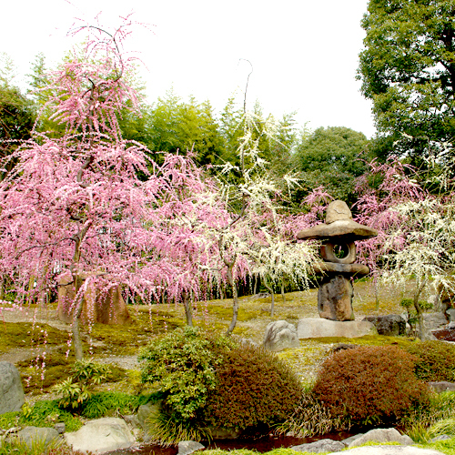 京都観光城南宮