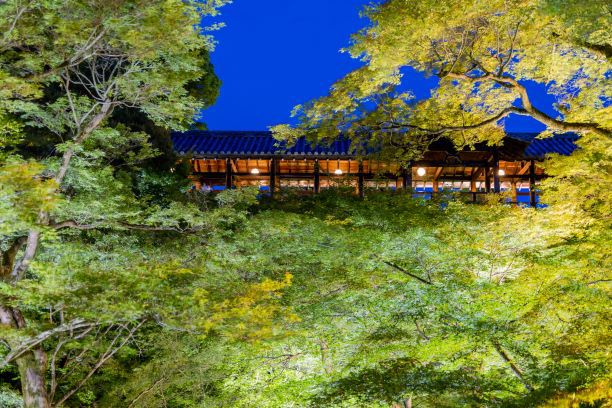 【周辺観光】青もみじが美しい＜東福寺＞