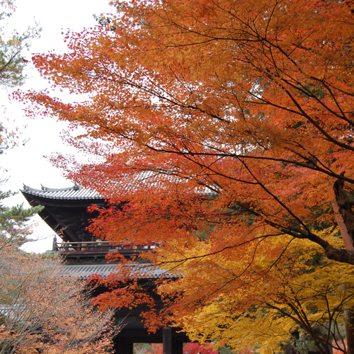 京都観光南禅寺の紅葉